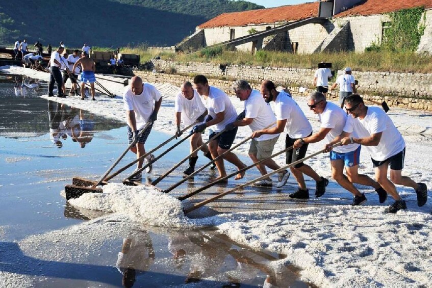 Picture 10 for Activity Half day tour to the Pelješac Peninsula and town of Ston