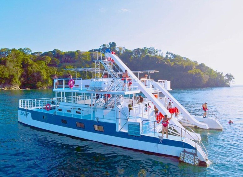 Picture 4 for Activity Manuel Antonio: Catamaran Cruise to Biesanz Bay with Lunch