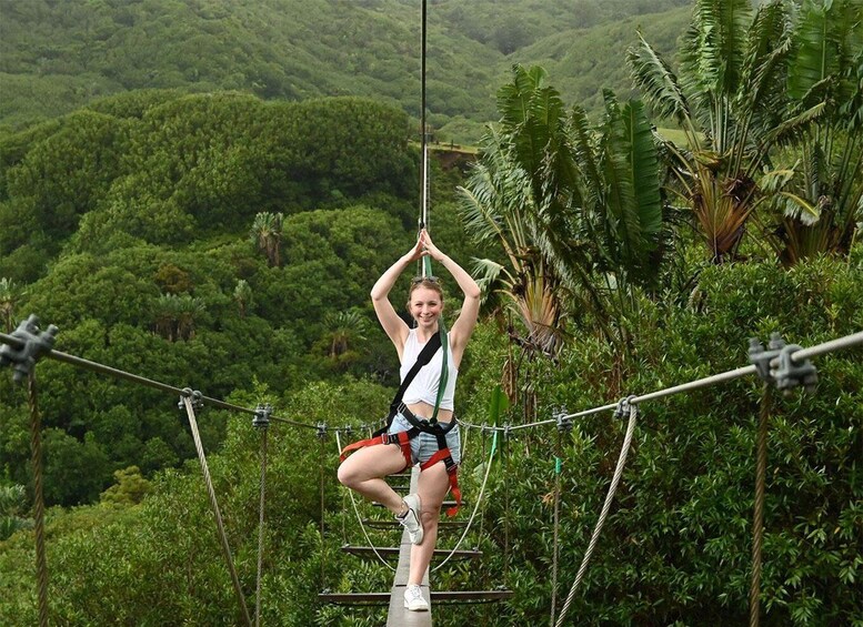 Picture 3 for Activity Mauritius: La Vallée des Couleurs, Nepalese Bridge