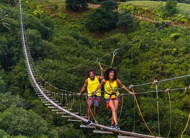 Mauritius: La Vallée des Couleurs, Nepalese Bridge