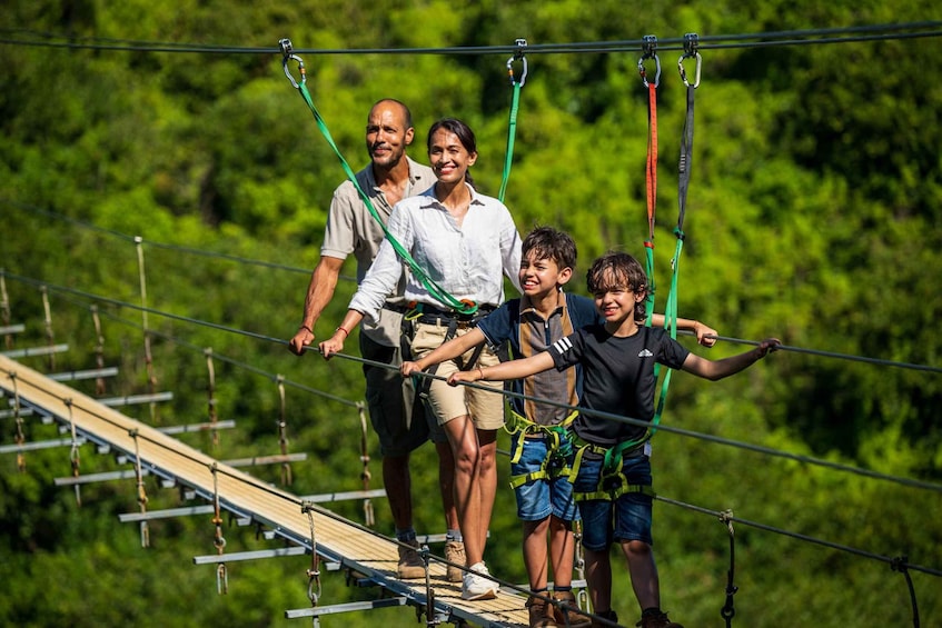 Picture 2 for Activity Mauritius: Vallé Advenature Park, Nepalese Bridge