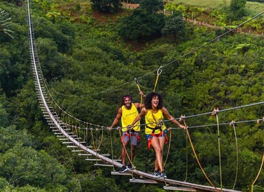 Mauritius: La Vallée des Couleurs, Nepalese Bridge