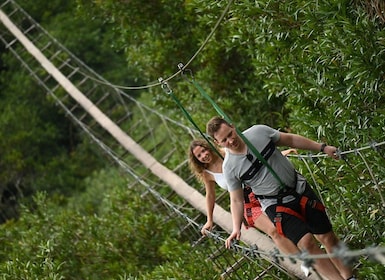 Mauritius: Vallé Advenature Park, Nepalese Bridge