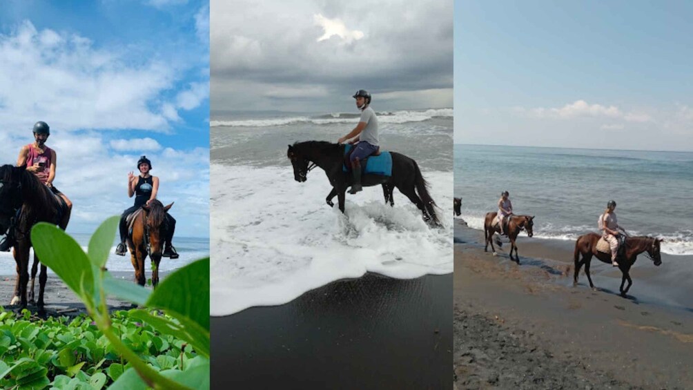 Picture 6 for Activity Ubud: 1 Hour Beach Horse Riding with Transfer