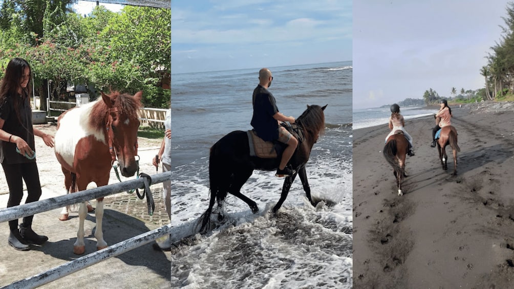 Ubud: 1 Hour Beach Horse Riding with Transfer