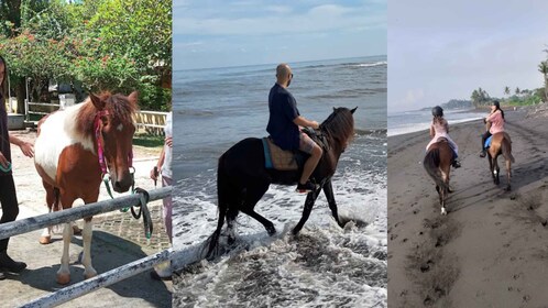 Ubud: 1 Hour Beach Horse Riding with Transfer