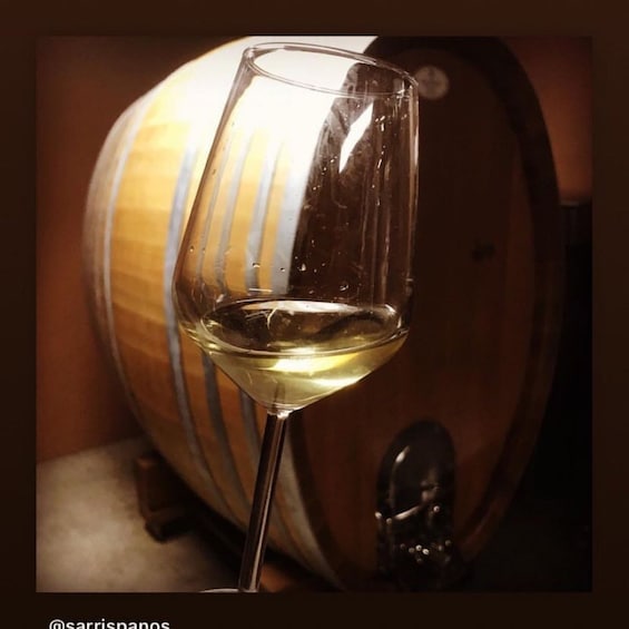 Kefalonia: Private Wine Tasting with Vineyard Tour