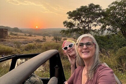 Jaipur to Ranthambore Tiger reserve Safari Day trip All Inclusive