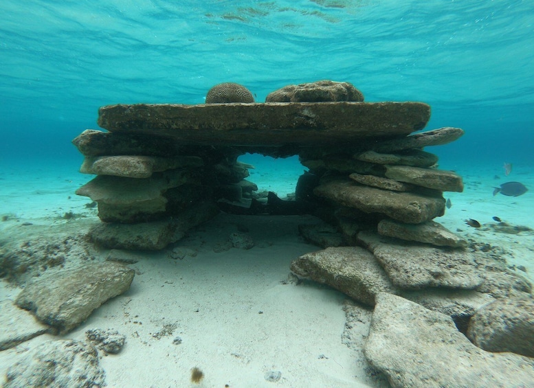 Picture 17 for Activity San Andrés: Island Pontoon Boat Tour