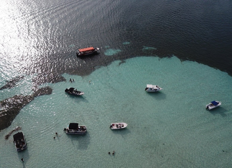 Picture 7 for Activity San Andrés: Island Pontoon Boat Tour