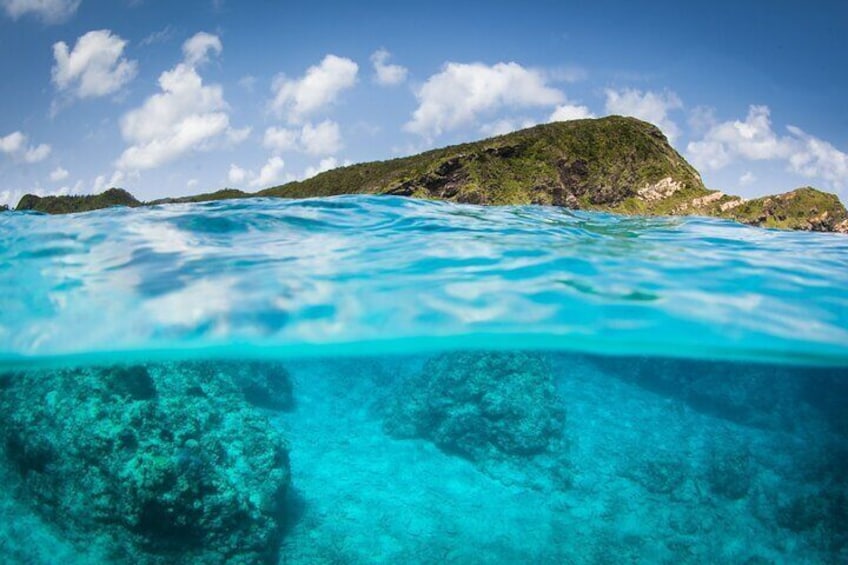 Full-Day Introductory diving and Snorkeling Experience in Kerama Islands