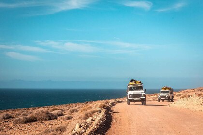 Intermediate & Advenced Surf Course in Fuerteventura's south