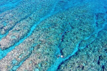Naha: Half-Day Snorkeling Experience in the Kerama Islands, Okinawa