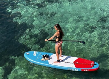 Marseille : Parc national des Calanques SUP excursion