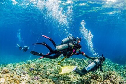 Naha: Half-Day Introductory Diving & Snorkeling in the Kerama Islands, Okin...