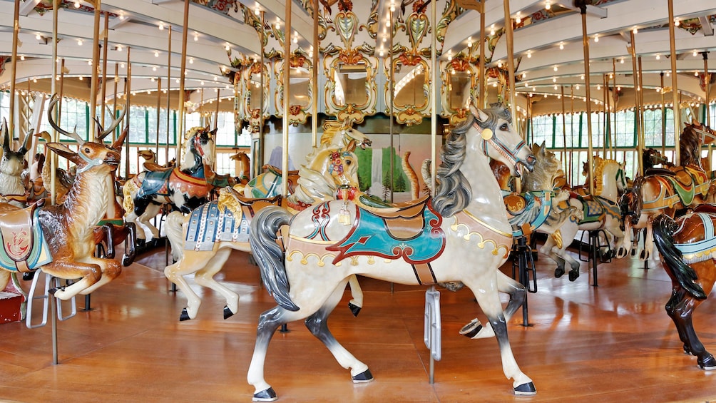 Foto 5 von 5 laden Carousel at the San Francisco Zoo