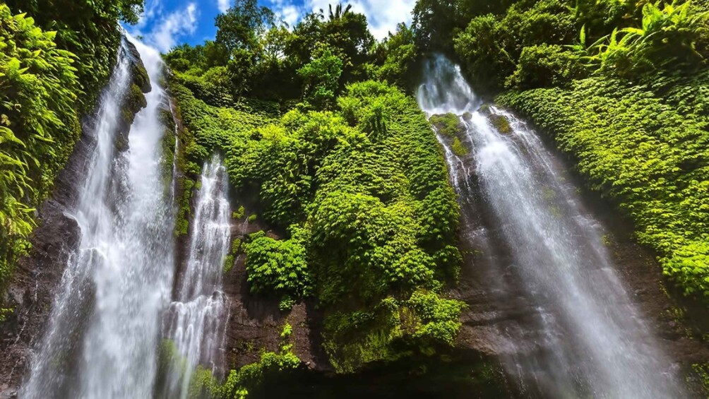 Enchanting Bali adv : Sekumpul and Fiji Waterfall Expedition