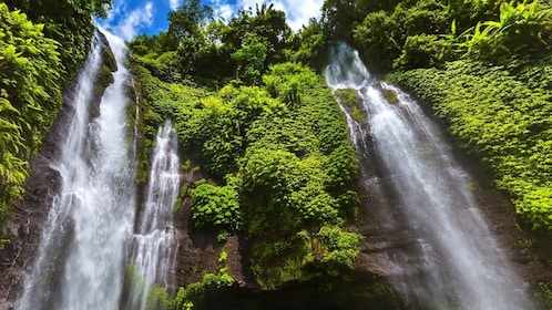 Enchanting Bali adv : Sekumpul and Fiji Waterfall Expedition