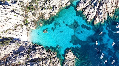 Palau : Archipel de la Maddalena et bateau de l'île de Caprera excursion