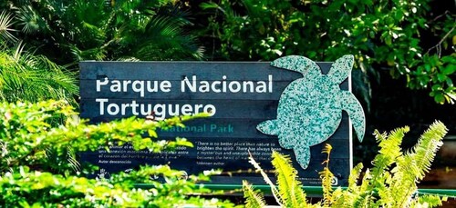 Tortuguero National Park: Best Things to Do in Tortuguero