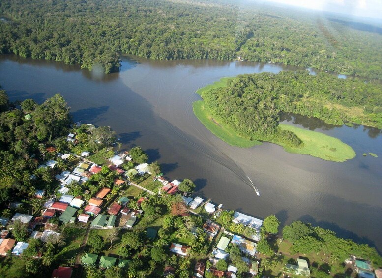 Picture 18 for Activity Tortuguero National Park: Best Things to Do in Tortuguero