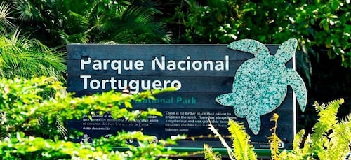 Tortuguero National Park: Best Things to Do in Tortuguero