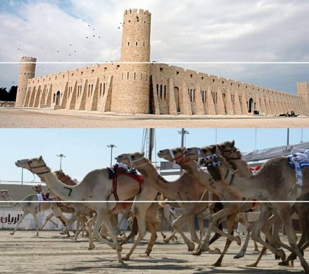 Doha Camel Racing Track: Oryx Farm & Sheikh Faisal Museum.