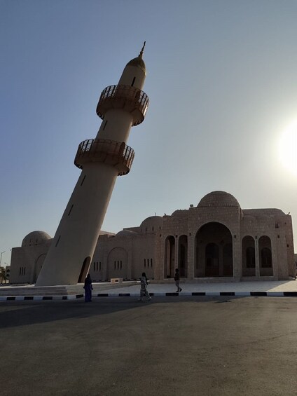 Picture 5 for Activity Doha Camel Racing Track: Oryx Farm & Sheikh Faisal Museum.