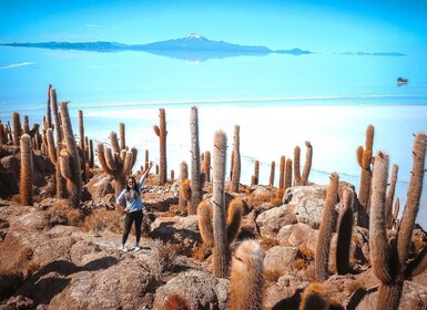 San Pedro de Atacama: Uyuni Salt Flats 4-Day Tour