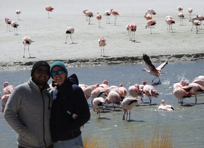 Picture 9 for Activity San Pedro de Atacama: Uyuni Salt Flats 4-Day Tour