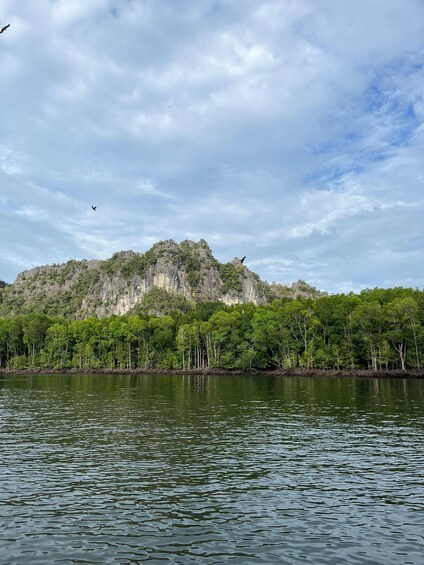 Picture 2 for Activity Langkawi: Half-Day Private Kilim River Mangrove Boat Tour