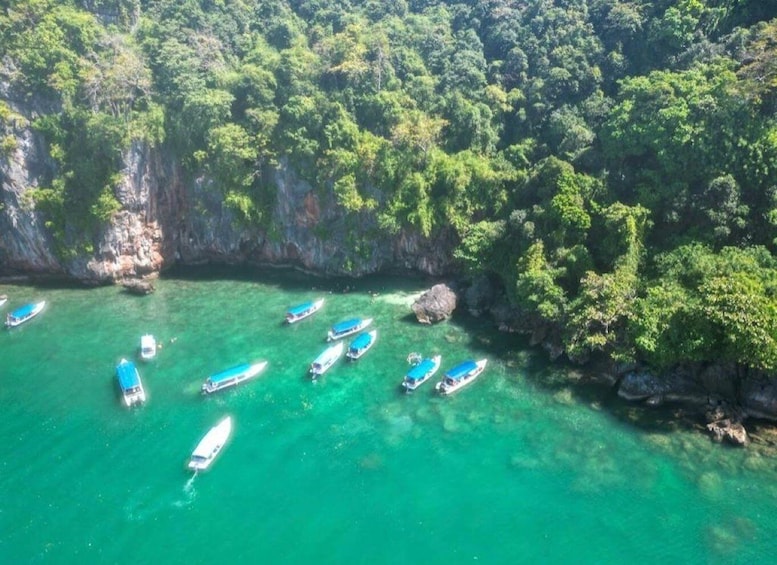 Langkawi: Half-Day Private Kilim River Mangrove Boat Tour