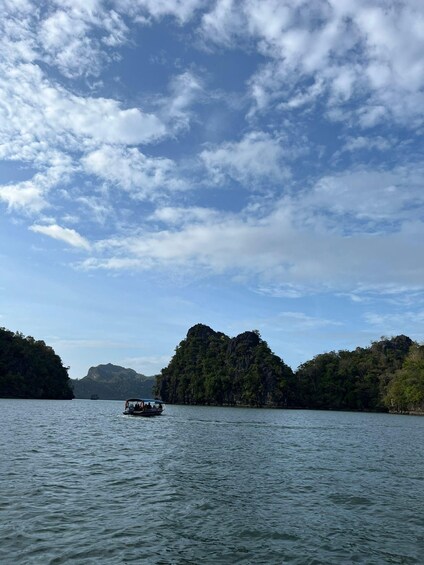 Picture 1 for Activity Langkawi: Half-Day Private Kilim River Mangrove Boat Tour