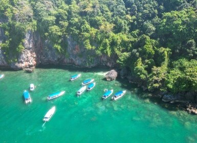 Langkawi: Half-Day Private Kilim River Mangrove Boat Tour