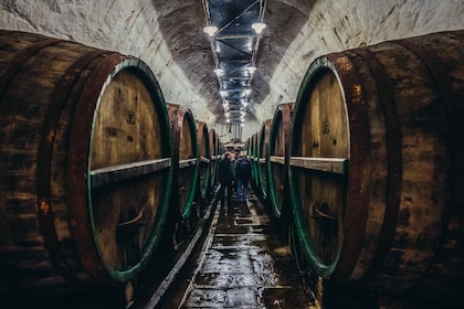 Private Tour to Pilsner Urquell from Prague