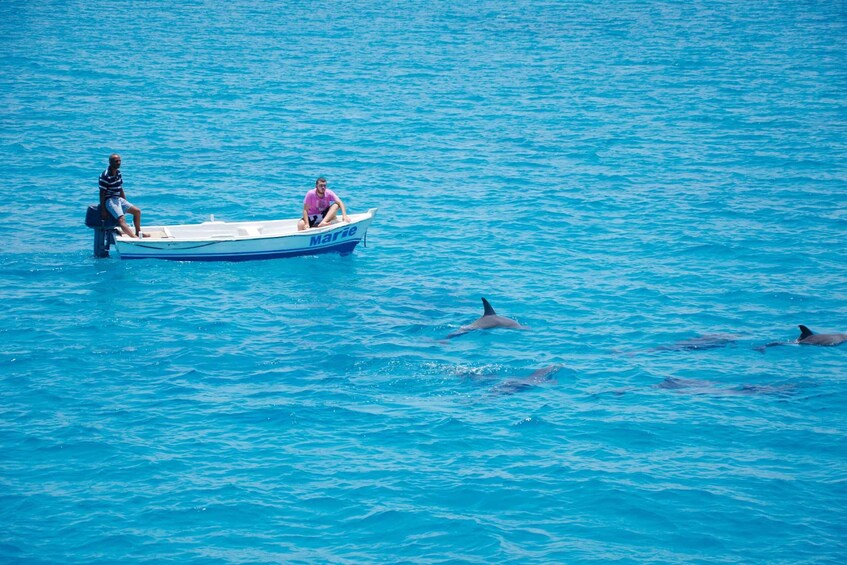 Picture 19 for Activity From Safaga: Dolphin Watching Cruise with Lunch and Drinks