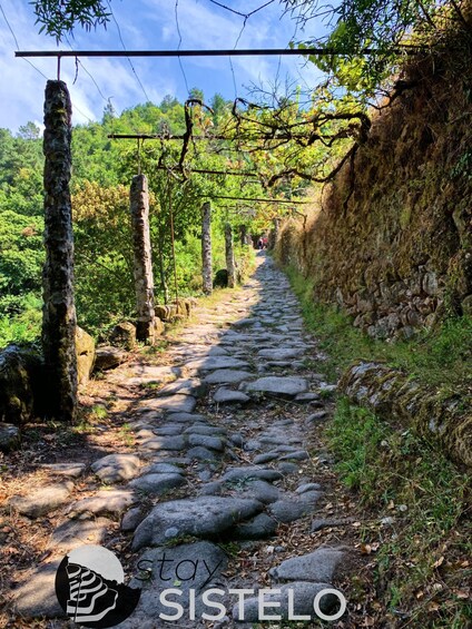 Picture 5 for Activity Hiking in the "Mini Tibet" of Portugal