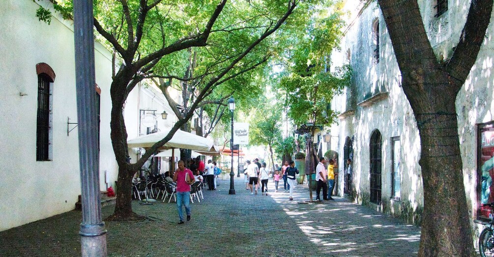 Picture 6 for Activity Santo Domingo: Guided City Walking Tour