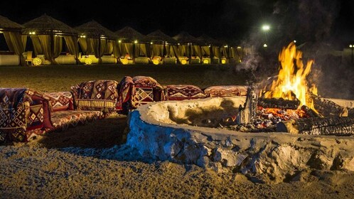 Doha: safari privado de día completo con cena de barbacoa en un campamento ...