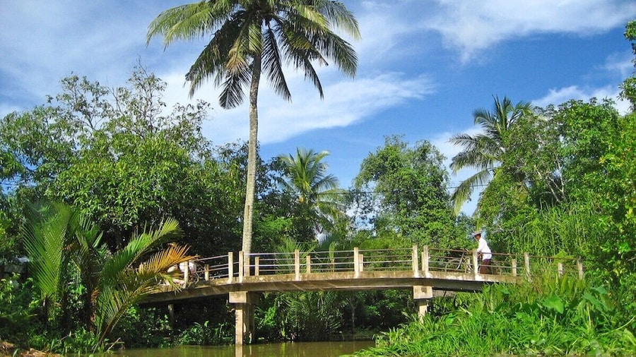 Mekong Delta Full Day Exploration My Tho Ben Tre Pagoda Visit Boat Cruises
