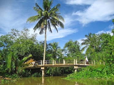 湄公河三角洲全日探索美拖槟椥宝塔参观游船