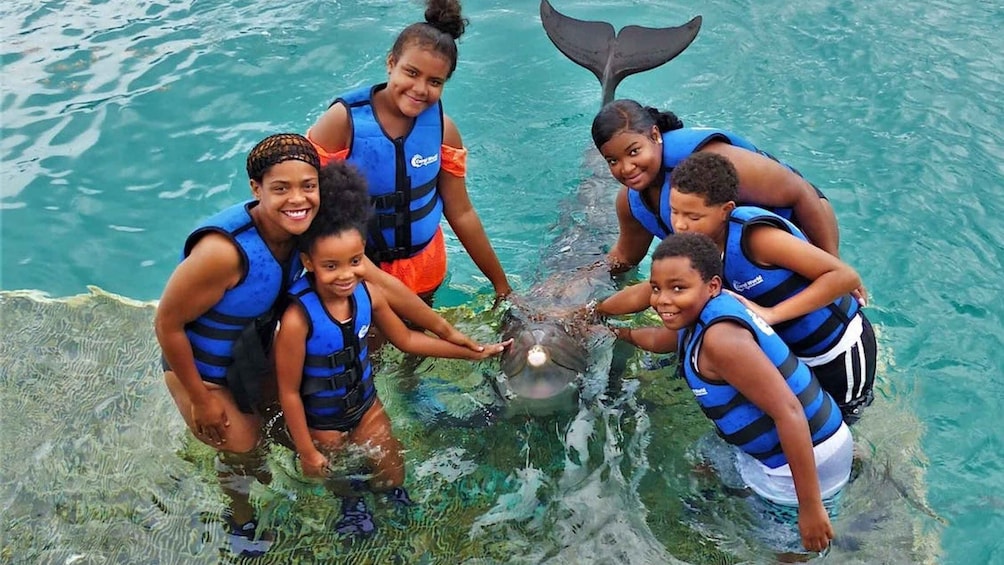 Picture 3 for Activity St. Thomas: Guided Kayak Tour with Dolphin Sighting