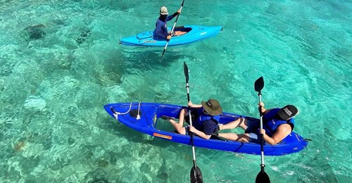 Santo Tomás: recorrido guiado en kayak con observación de delfines