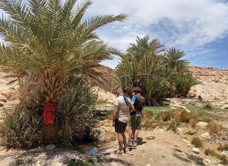 Picture 5 for Activity Quad Privé à Ouarzazate : Explorez le Désert en VIP!