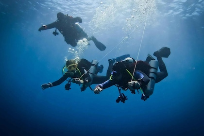 Diving at Lanzarote - 2 guided dives for certified divers