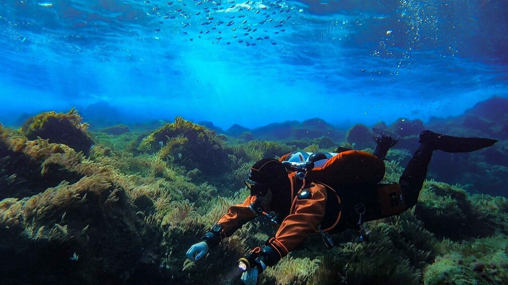 Picture 6 for Activity Diving at Lanzarote - 2 guided dives for certified divers