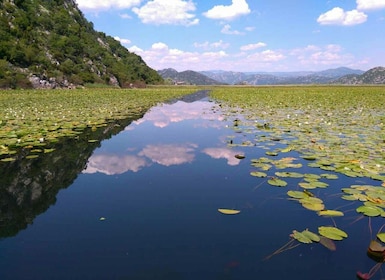 Kotor: Parque Nacional del Lago Skadar con degustación de vinos