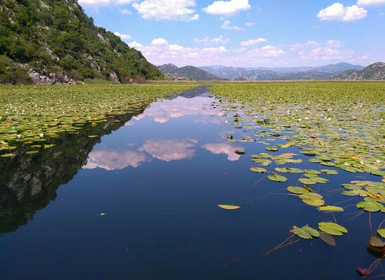 Kotor: Skadar Lake National Park with Wine Tasting