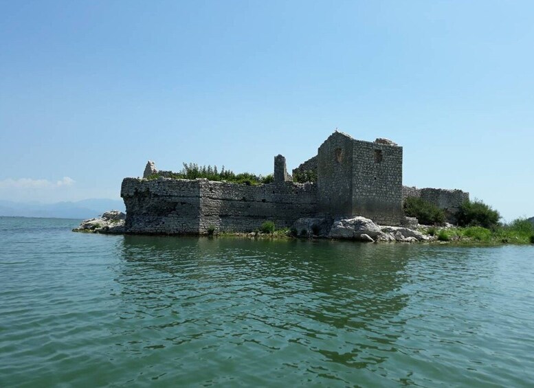 Picture 2 for Activity Kotor: Skadar Lake National Park with Wine Tasting