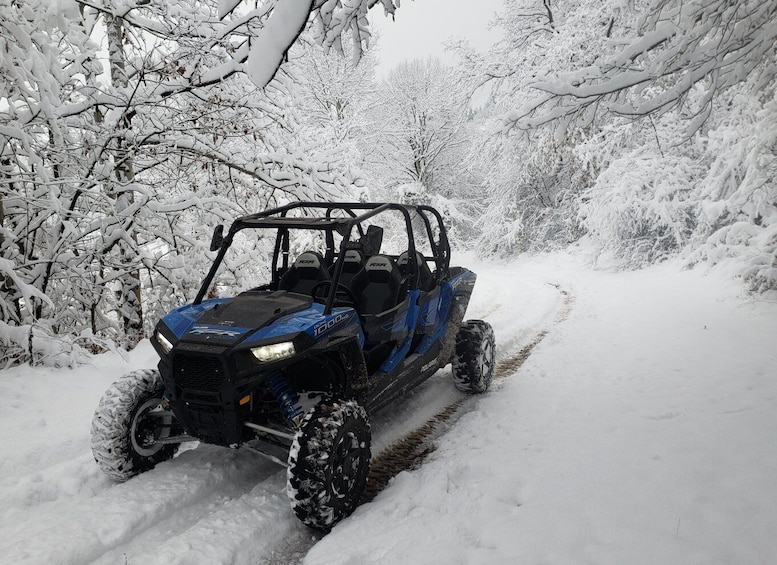 From Smolyan: Private Buggy Ride in Pamporovo Ski Resort